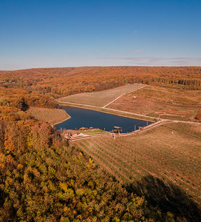 Cabana Lacul Sadova - Tradiție și Natură